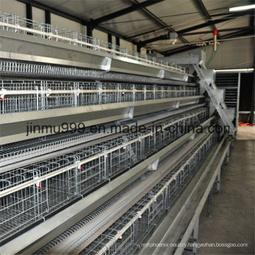 Steel Frame Chicken Poultry Equipment Cage for Chicken